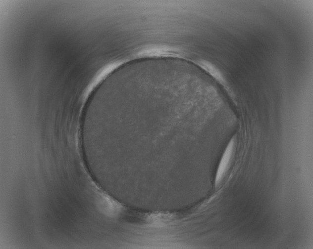 X0000082201277200702021835