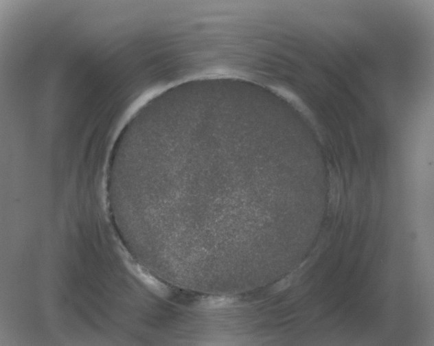 X0000082201278200702021835