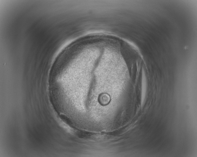 X0000082201279200702021835