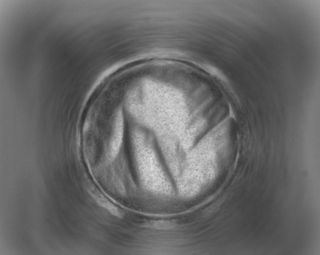 X0000082201280200702021835