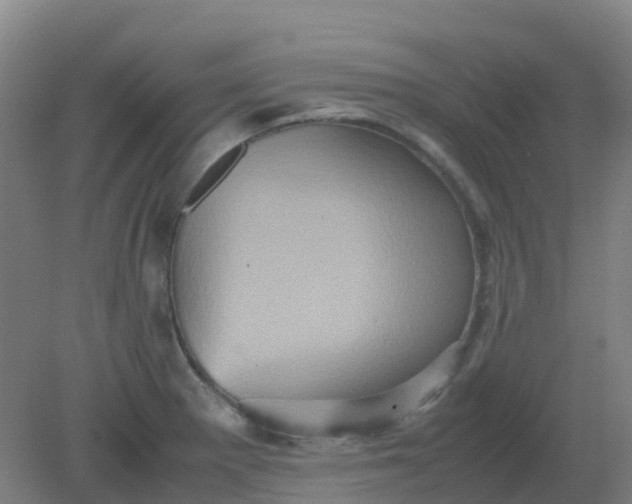 X0000082201281200702021835