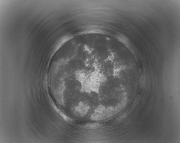 X0000082201282200702021835