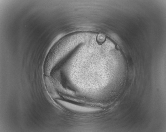 X0000082201283200702021835