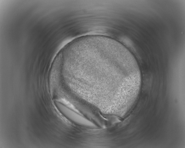 X0000082201284200702021834