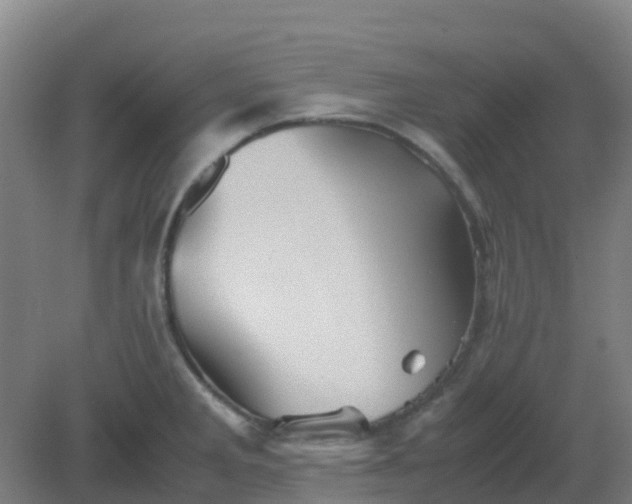 X0000082201285200702021834