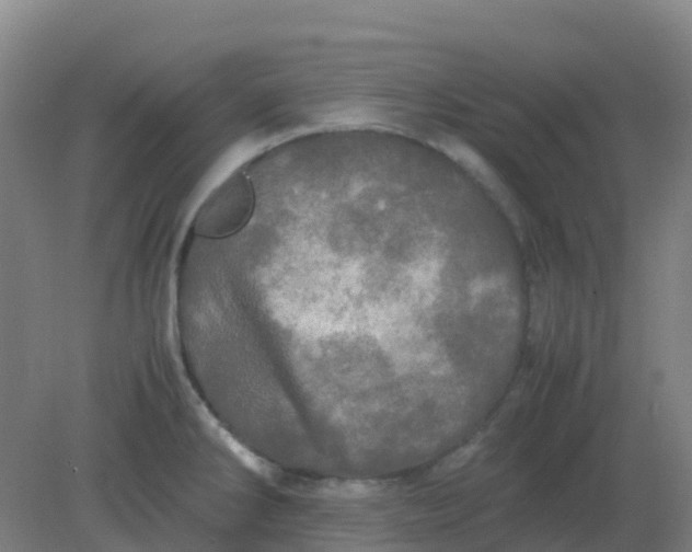 X0000082201286200702021834