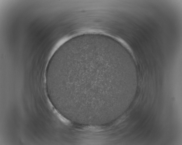 X0000082201287200702021834