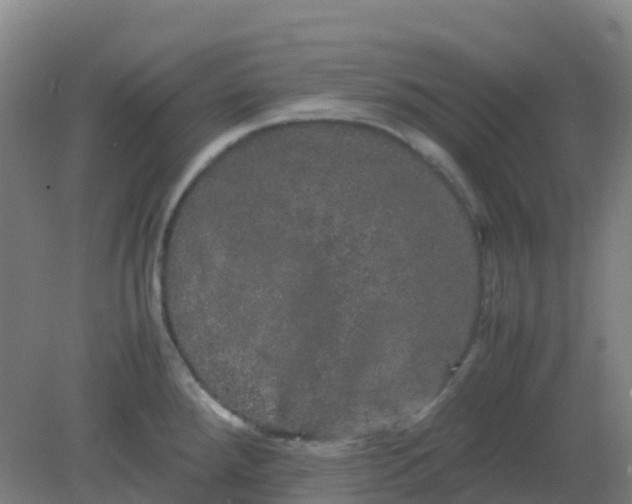 X0000082201288200702021834