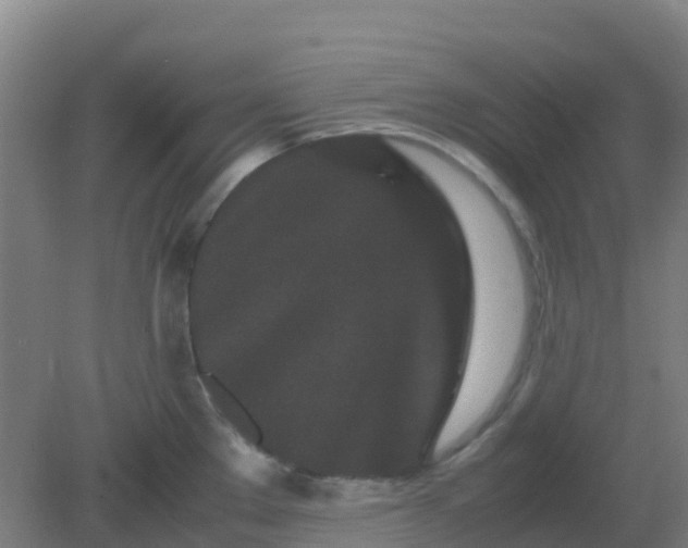 X0000082201289200702021834