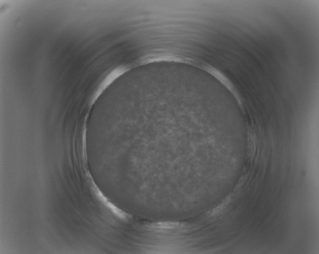 X0000082201290200702021834