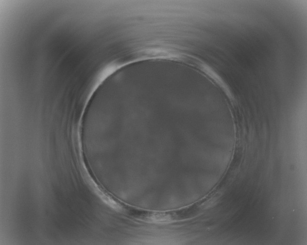 X0000082201291200702021834