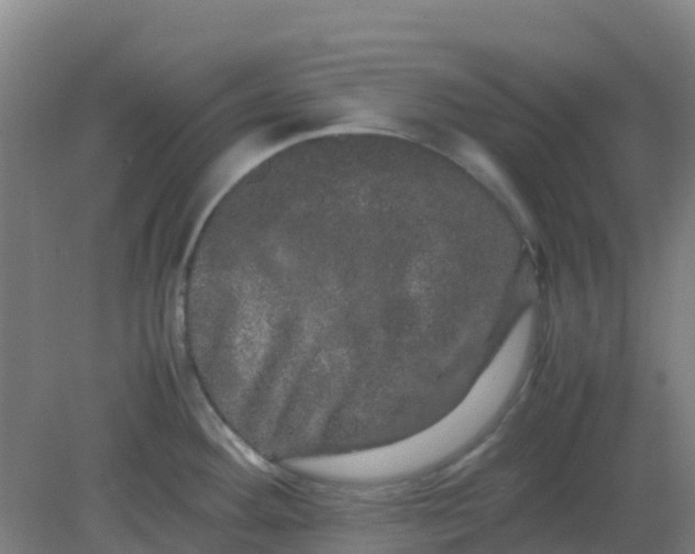 X0000082201292200702021834