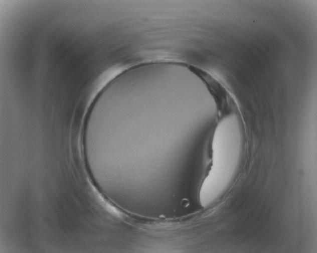 X0000082201293200702021834