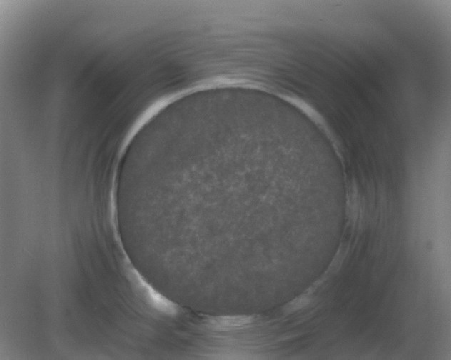 X0000082201294200702021834