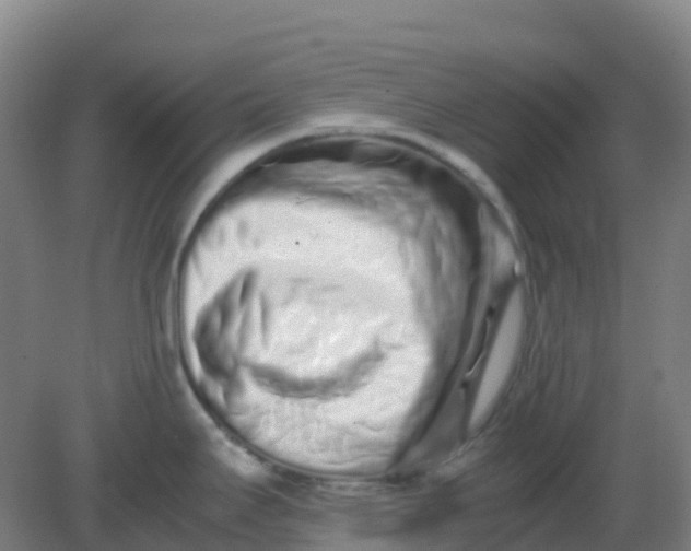 X0000082201295200702021834