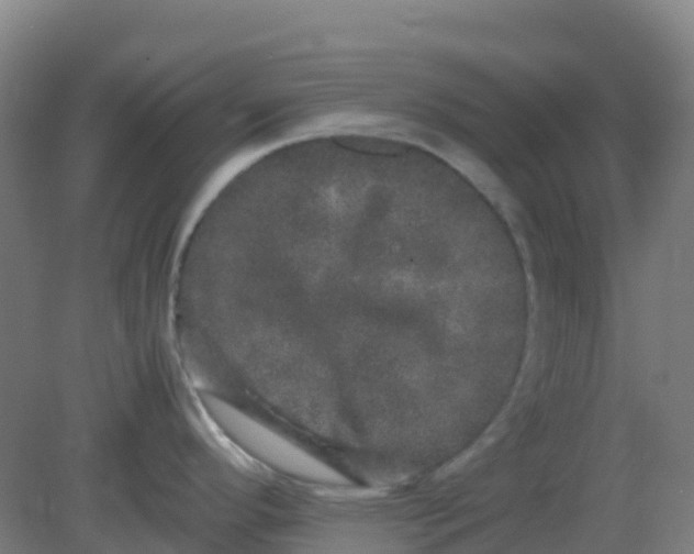 X0000082201296200702021834