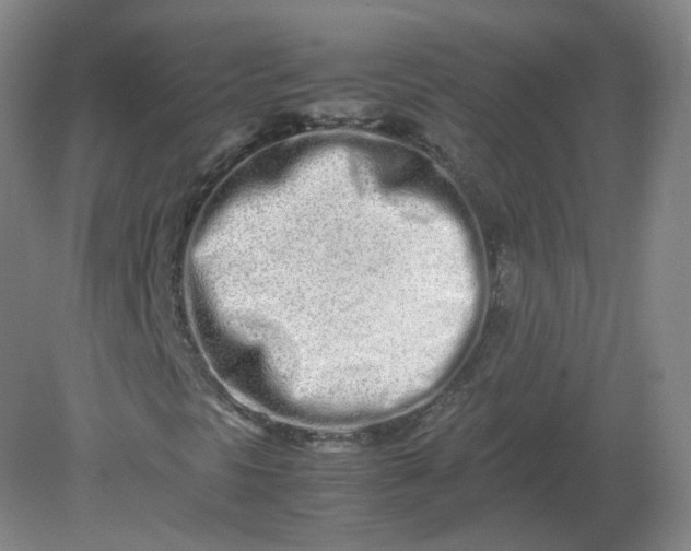 X0000082201297200702021833