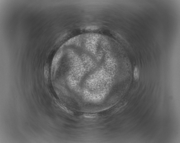 X0000082201299200702021834