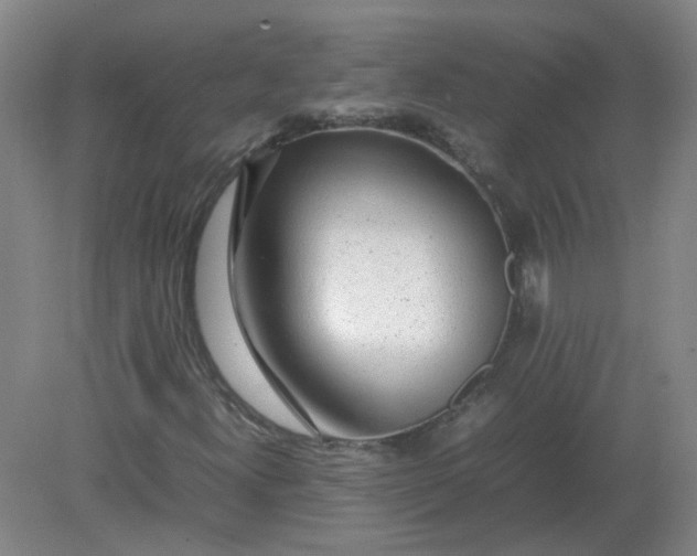 X0000082201300200702021834