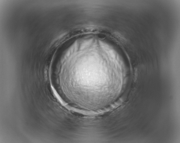 X0000082201302200702021834