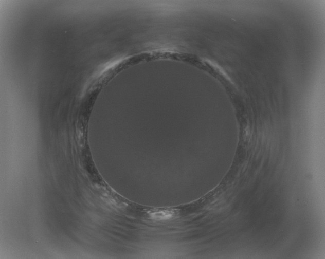 X0000082201303200702021834