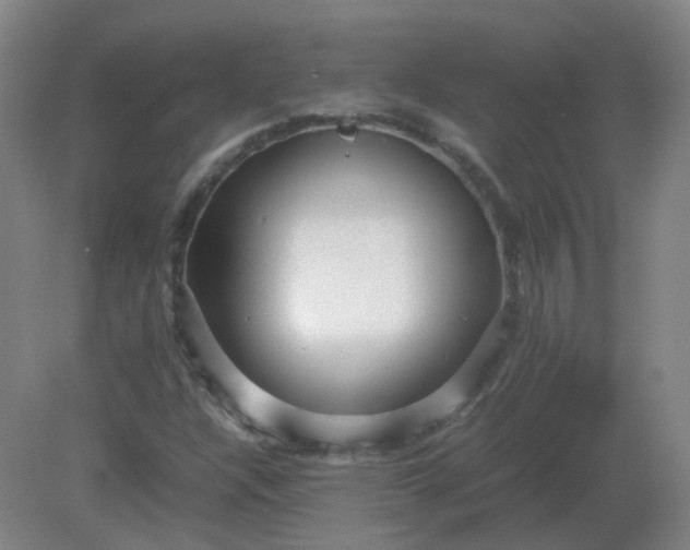 X0000082201304200702021834