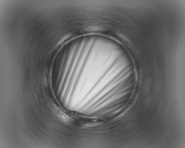 X0000082201305200702021834