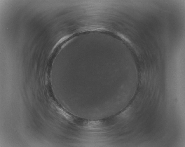 X0000082201306200702021834