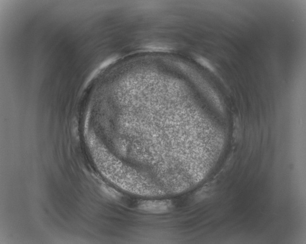 X0000082201307200702021834