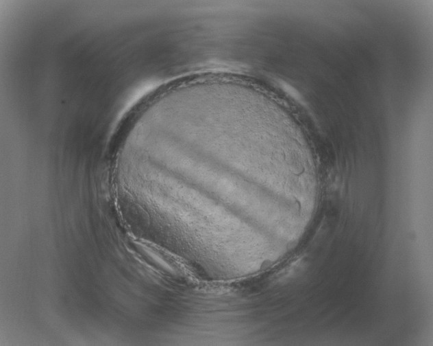 X0000082201310200702021834