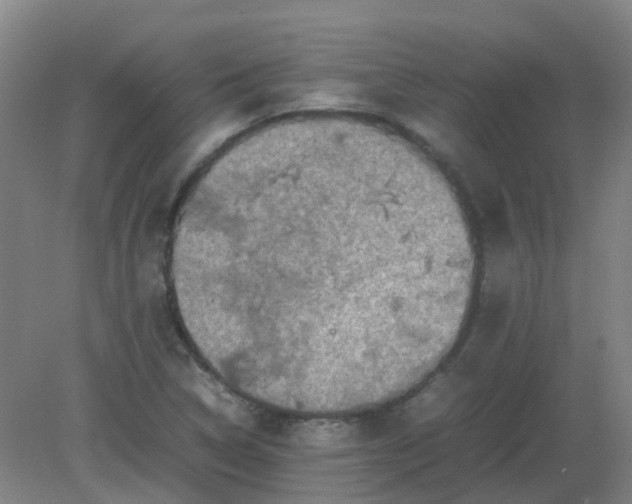 X0000082201314200702021834