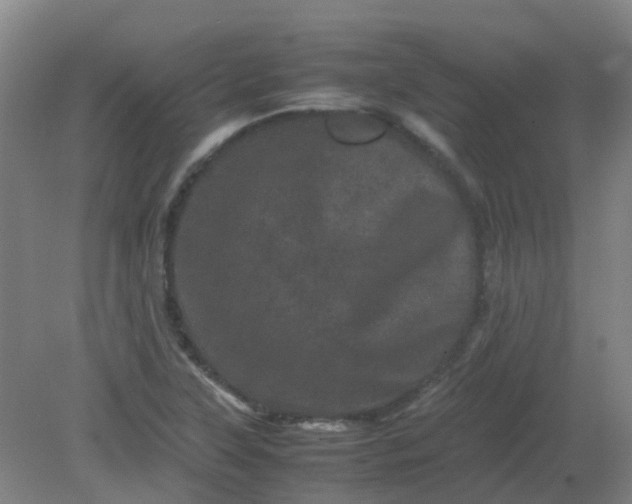 X0000082201315200702021834