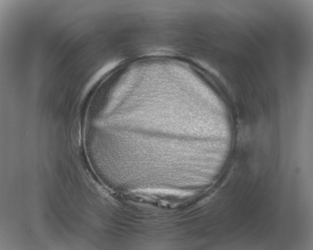 X0000082201317200702021834