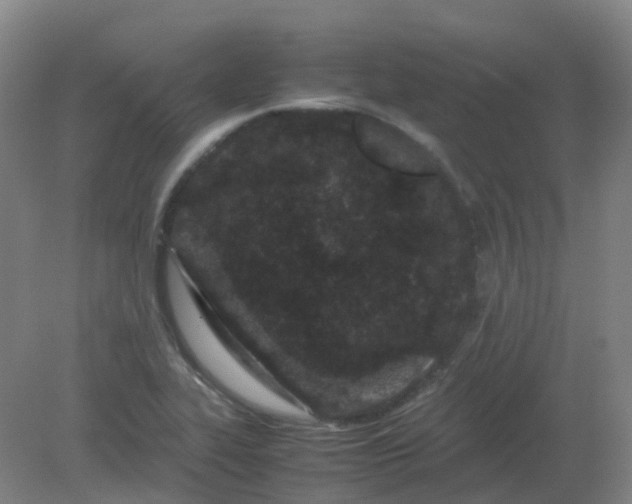 X0000082201319200702021834