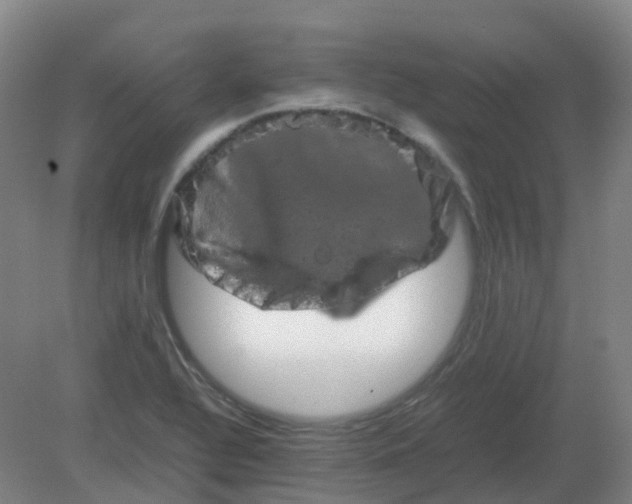 X0000082201320200702021834