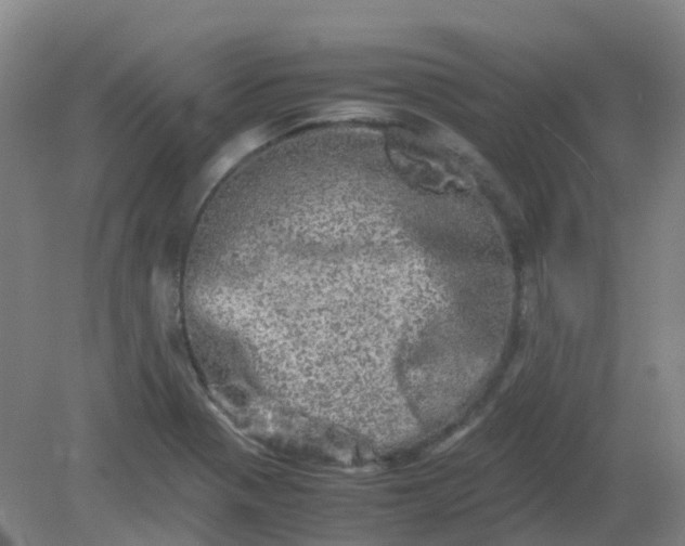 X0000082201321200702021834