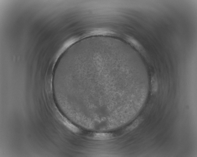 X0000082201322200702021834