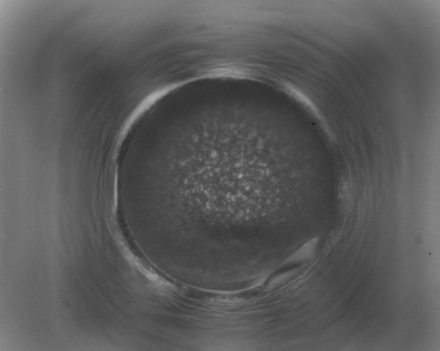 X0000082201323200702021834