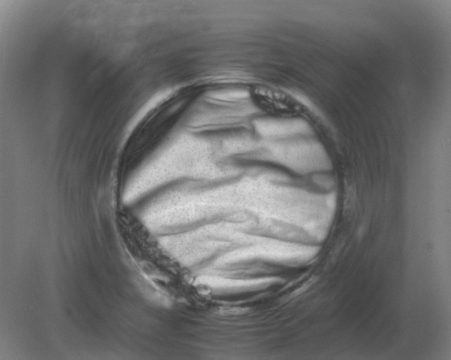 X0000082201325200702021834