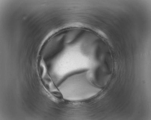 X0000082201326200702021834