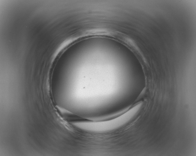 X0000082201328200702021834