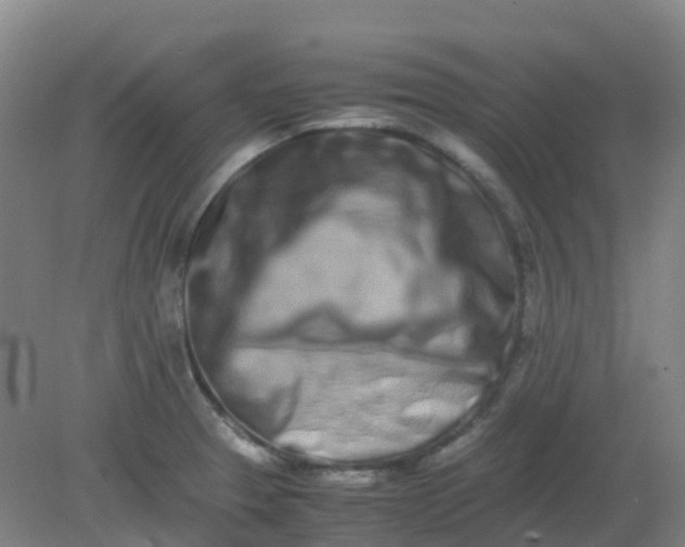 X0000082201329200702021834