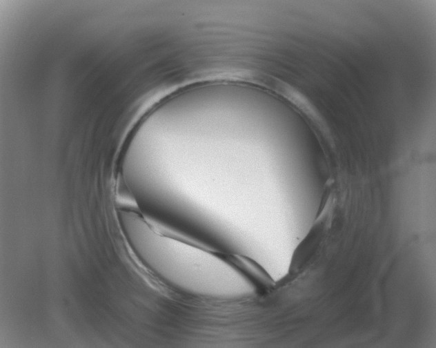 X0000082201332200702021834