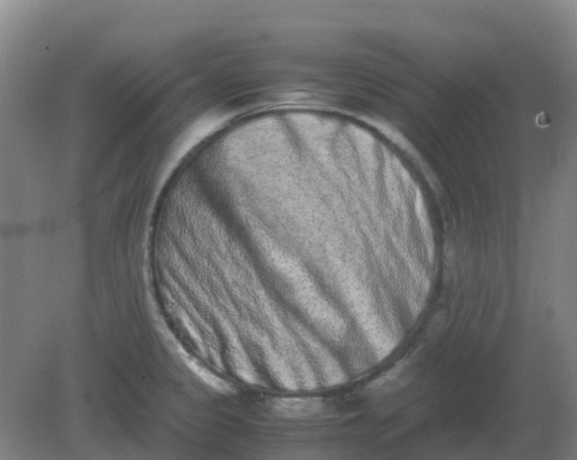 X0000082201333200702021834