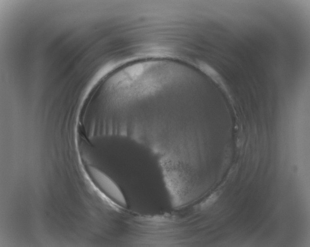 X0000082201334200702021834