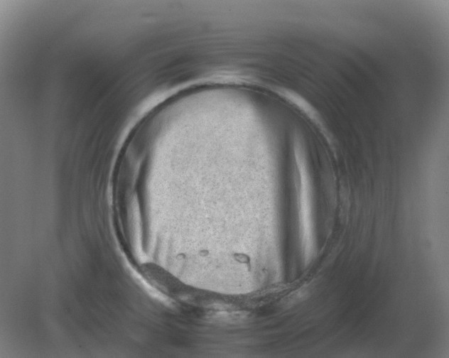 X0000082201335200702021834