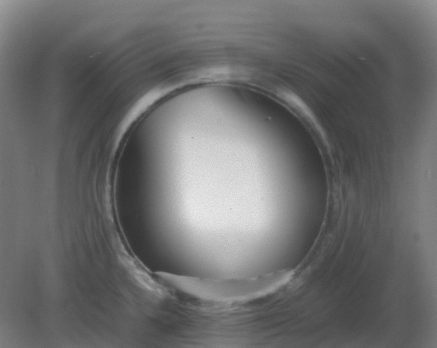 X0000082201336200702021834