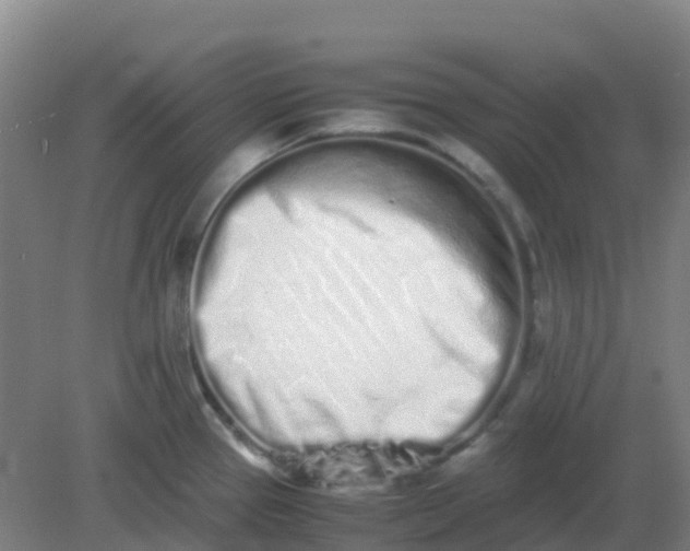 X0000082201337200702021834