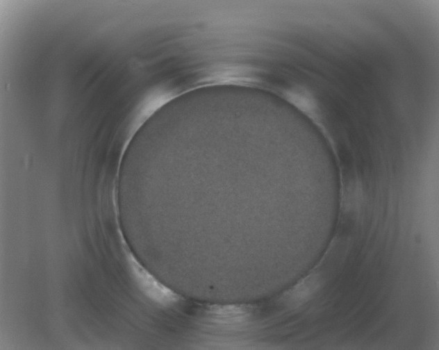 X0000082201338200702021834