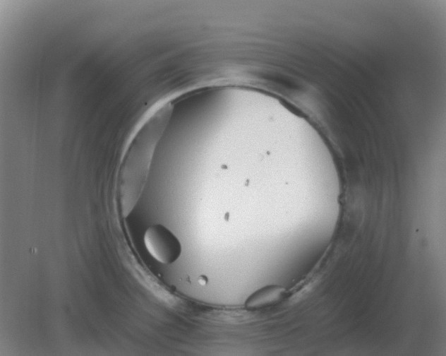 X0000082201340200702021834